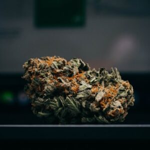 Organic Cannabis Seeds